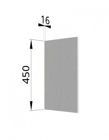 Панель торцевая (для шкафа горизонтального высокого) ВПГ Ройс (Графит софт) в Толмачёво - tolmachyovo.mebel54.com | фото