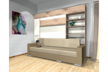 Шкаф-кровать с диваном Каролина в Толмачёво - tolmachyovo.mebel54.com | фото